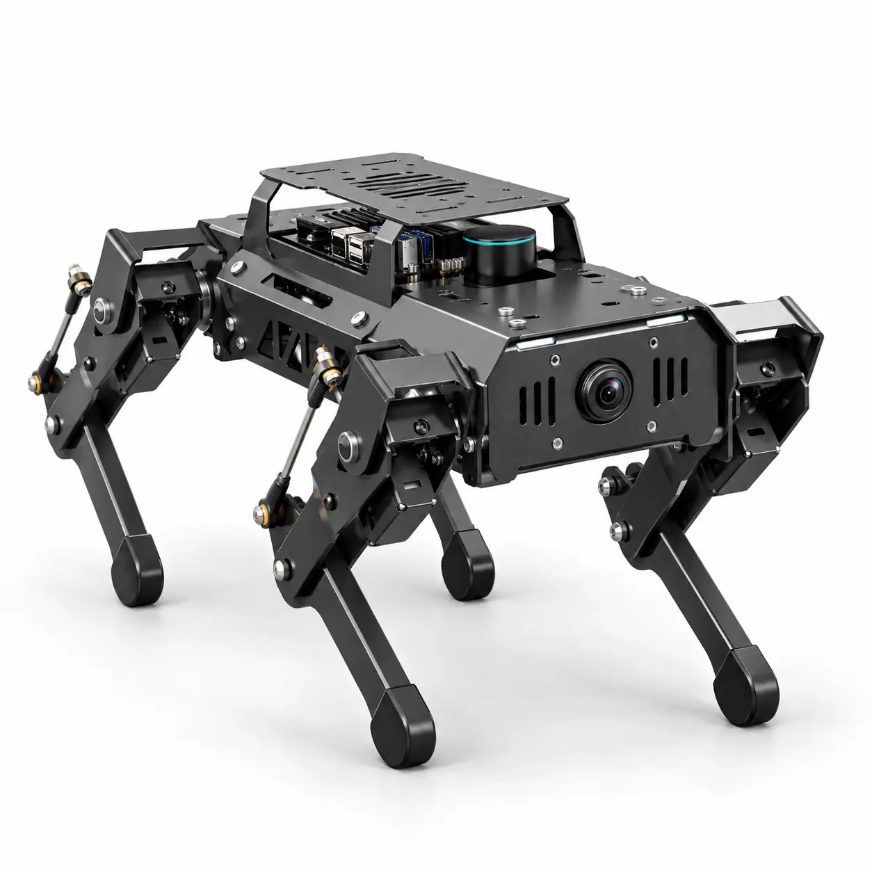 Action Pi quadruped
